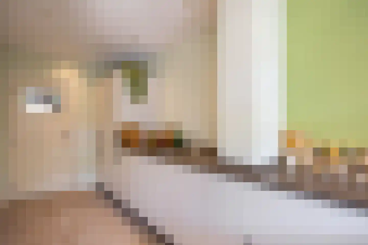 Reigerstraat 26 Tilburg thumbnail 6