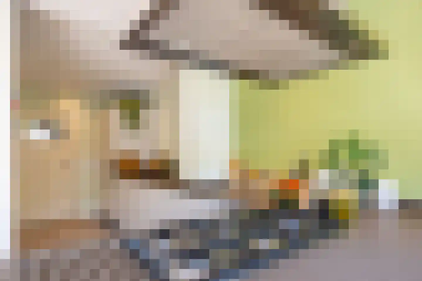 Reigerstraat 26 Tilburg thumbnail 9