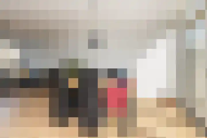 Reigerstraat 27 Zwijndrecht thumbnail 7