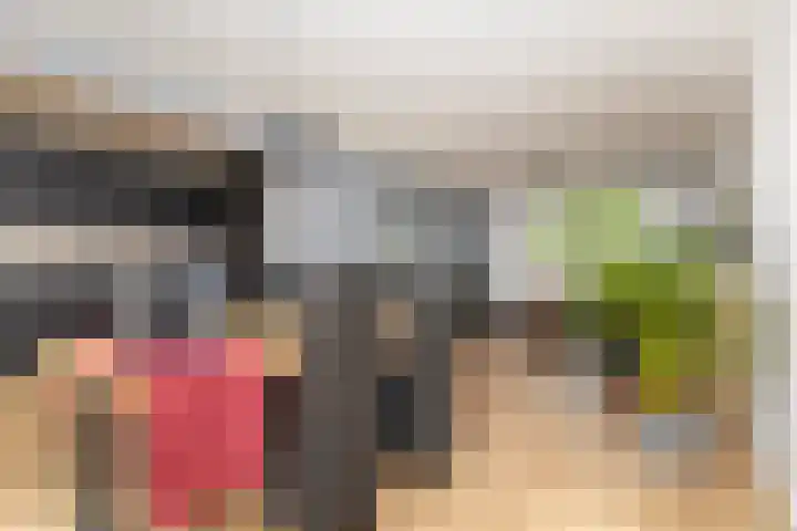 Reigerstraat 27 Zwijndrecht thumbnail 8