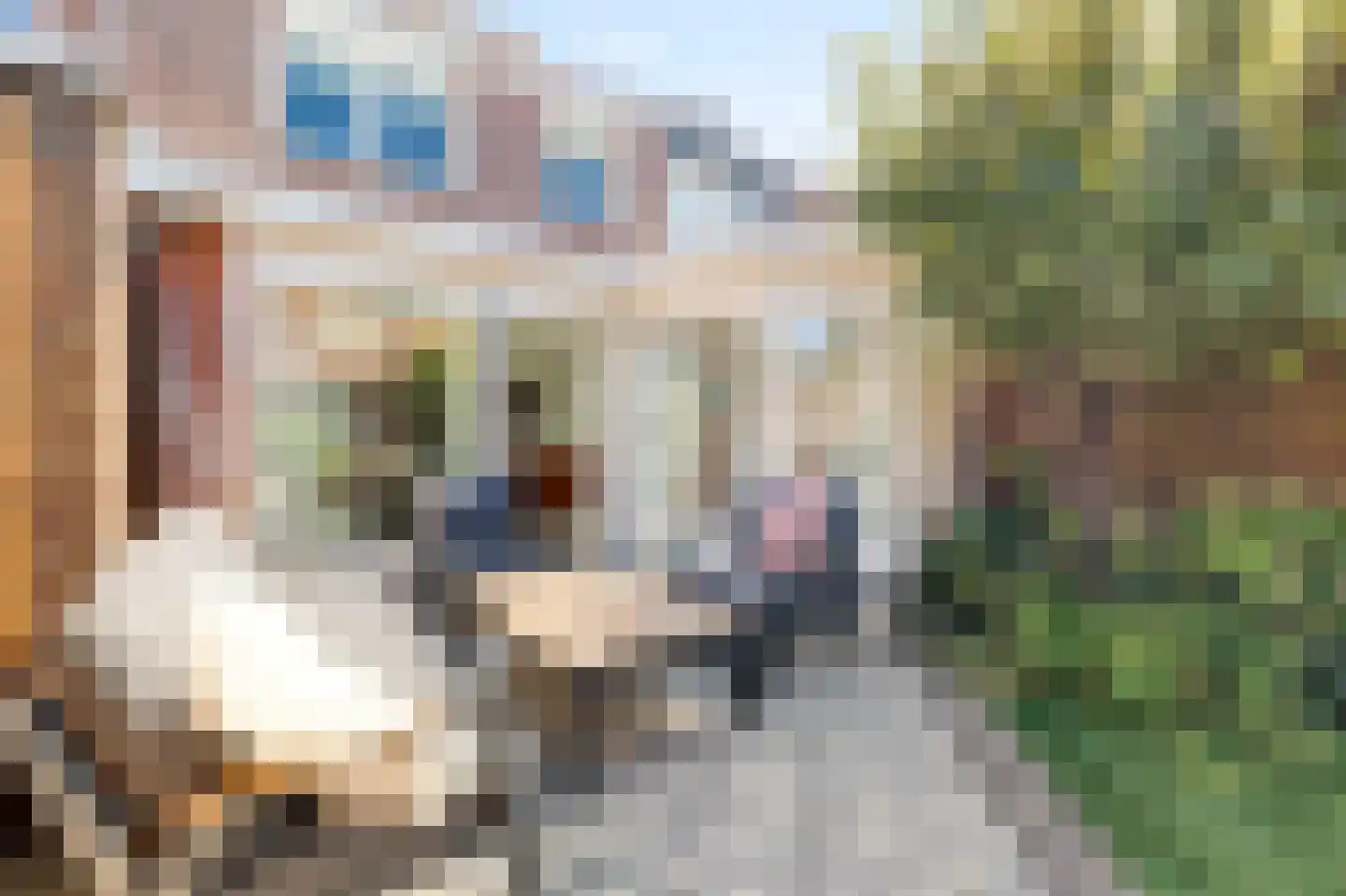 Reigerstraat 28 Den Helder thumbnail 37