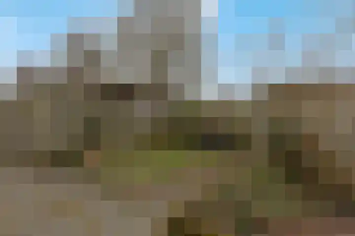 Reigerstraat 28 Zwijndrecht thumbnail 33