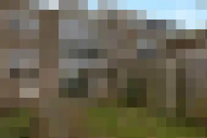 Reigerstraat 28 Zwijndrecht thumbnail 35