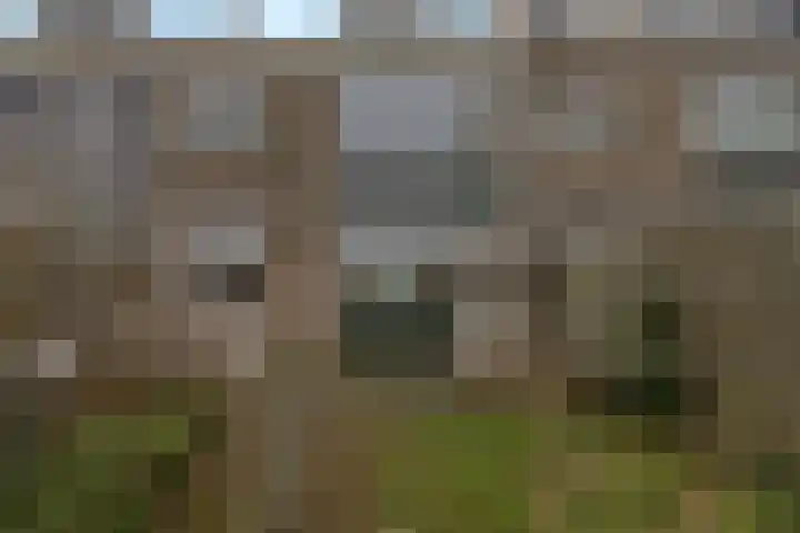 Reigerstraat 28 Zwijndrecht thumbnail 36