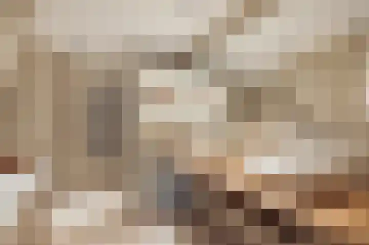 Reigerstraat 29 Badhoevedorp thumbnail 33