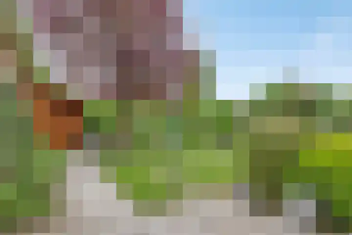 Reigerstraat 3 Heinkenszand thumbnail 30
