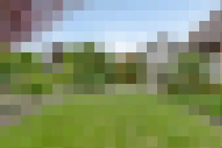 Reigerstraat 3 Heinkenszand thumbnail 31