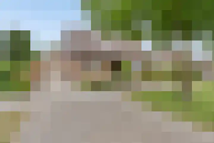 Reigerstraat 3 Heinkenszand thumbnail 38