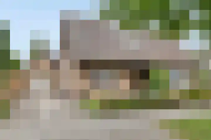 Reigerstraat 3 Heinkenszand thumbnail 39