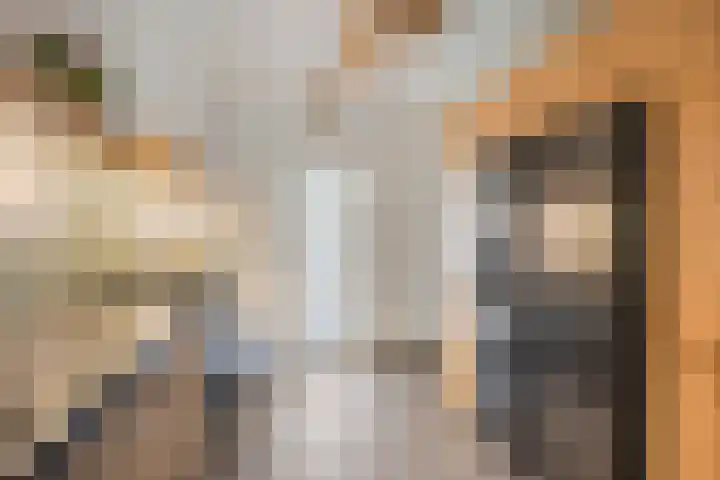 Reigerstraat 3 Oss thumbnail 12