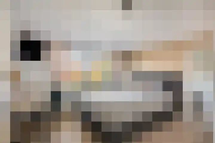 Reigerstraat 3 Oss thumbnail 18