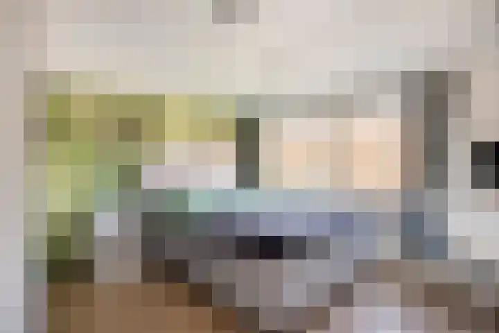 Reigerstraat 3 Oss thumbnail 20
