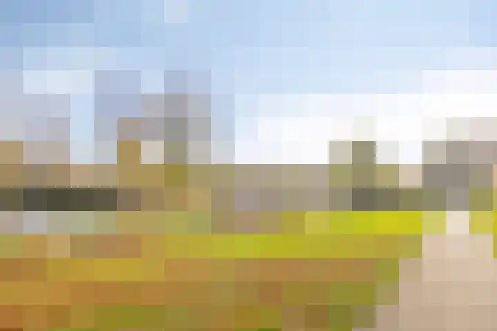 Reigerstraat 3 Oss thumbnail 30