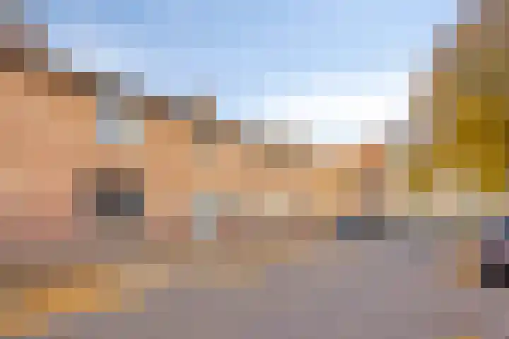 Reigerstraat 3 Oss thumbnail 6
