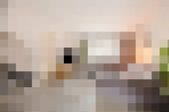 Reigerstraat 3 Oss thumbnail 9