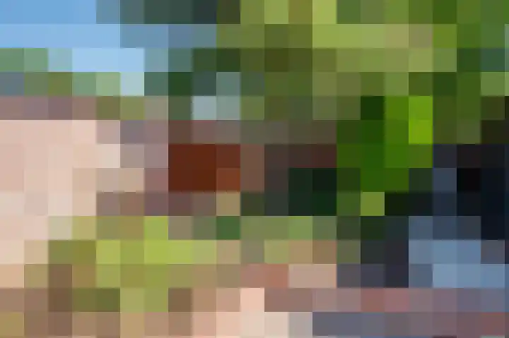 Reigerstraat 3 Tegelen thumbnail 19