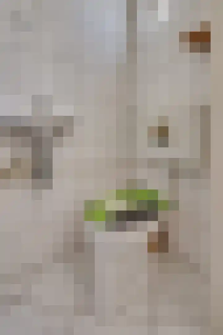 Reigerstraat 3 Tegelen thumbnail 8