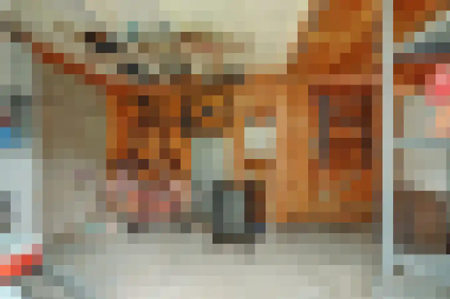 Reigerstraat 30 Gouda thumbnail 31