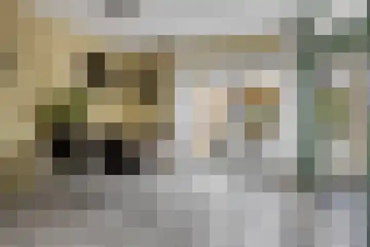 Reigerstraat 31 Heerenveen thumbnail 11