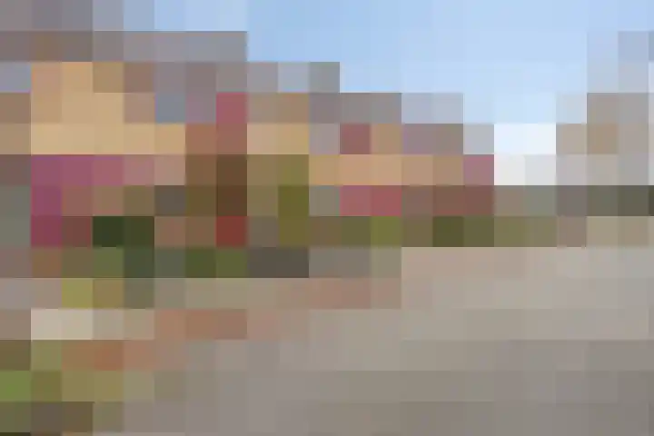 Reigerstraat 31 Heerenveen thumbnail 6