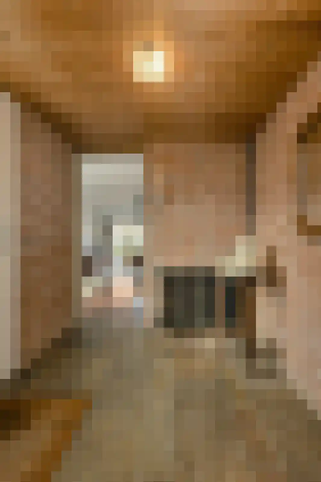 Reigerstraat 34 Oosterhout thumbnail 5