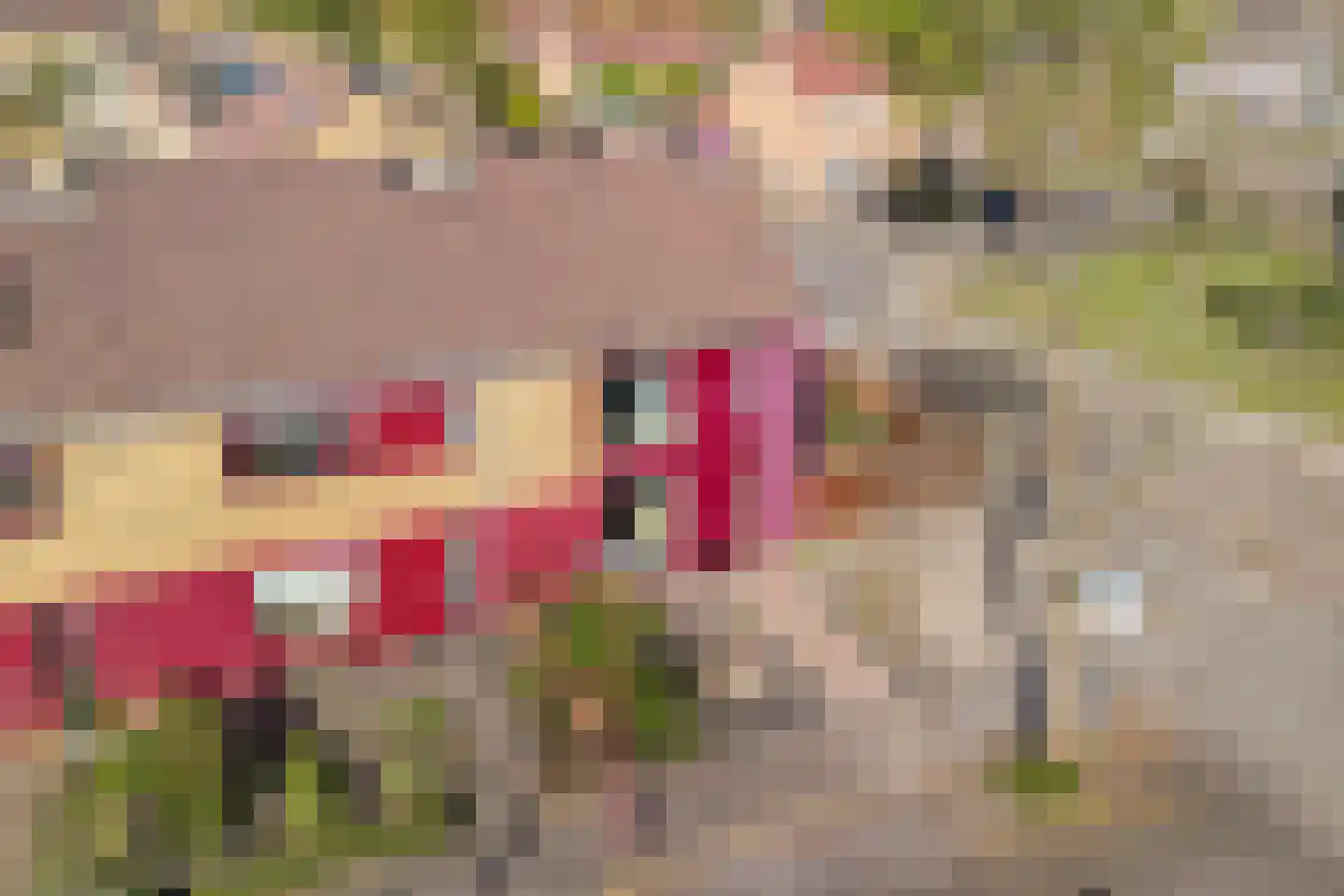 Reigerstraat 37 Heerenveen thumbnail 32