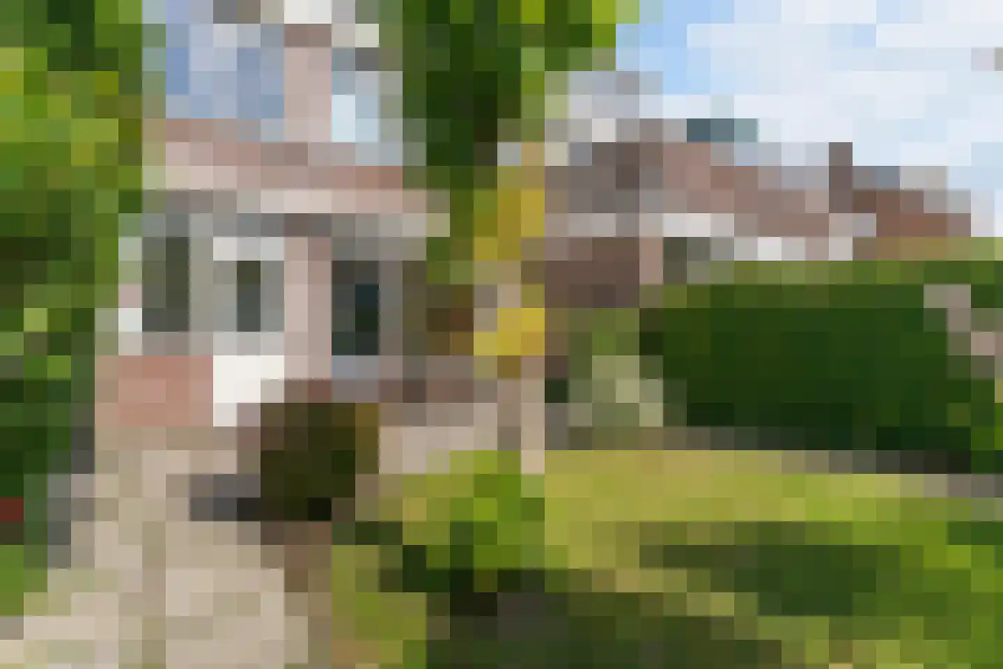 Reigerstraat 39 Maassluis thumbnail 30