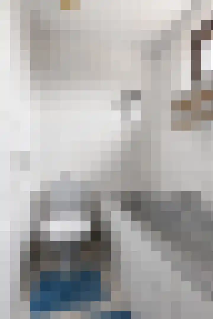 Reigerstraat 39 Tegelen thumbnail 21