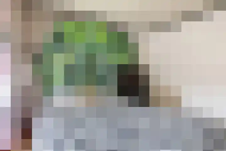 Reigerstraat 39 Tegelen thumbnail 31