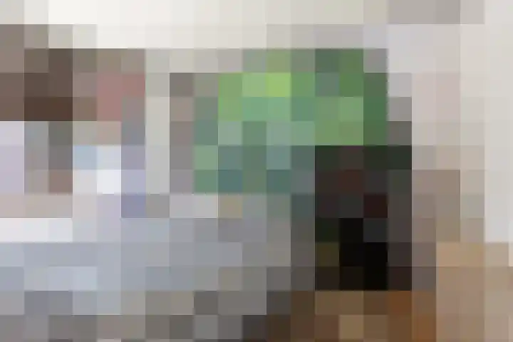 Reigerstraat 39 Tegelen thumbnail 32