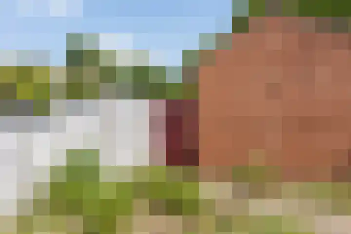 Reigerstraat 39 Tegelen thumbnail 42