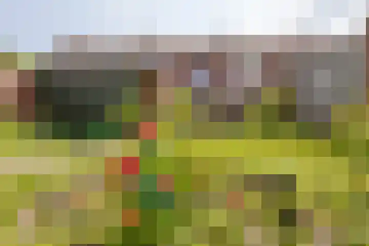 Reigerstraat 39 Tegelen thumbnail 45