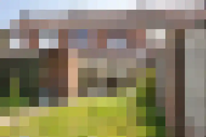 Reigerstraat 39 Tegelen thumbnail 46
