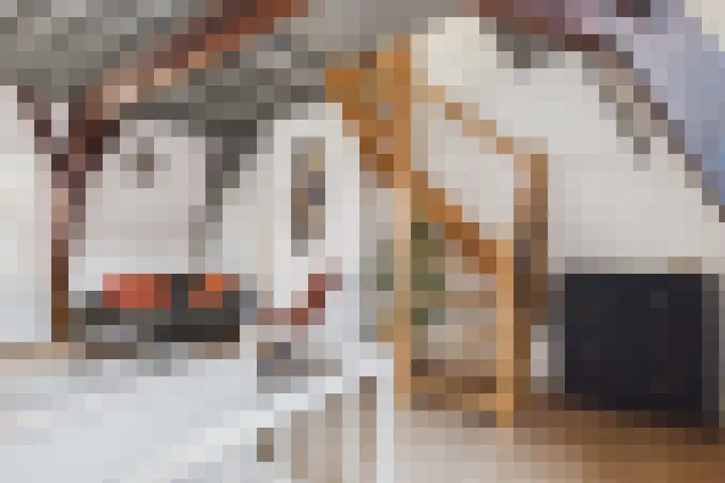Reigerstraat 4 B Middelburg thumbnail 12