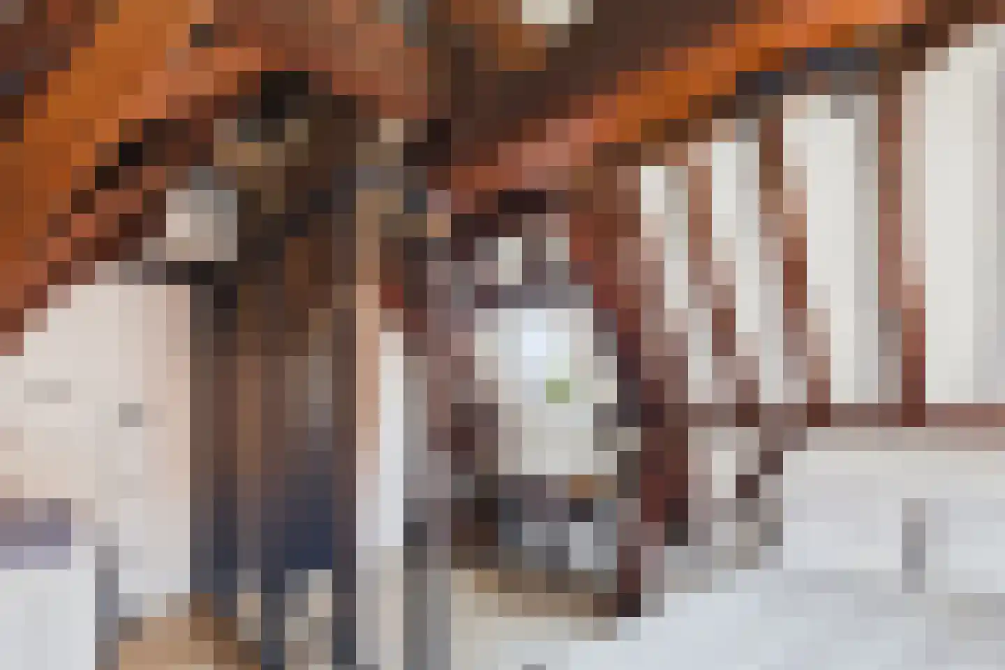 Reigerstraat 4 B Middelburg thumbnail 18