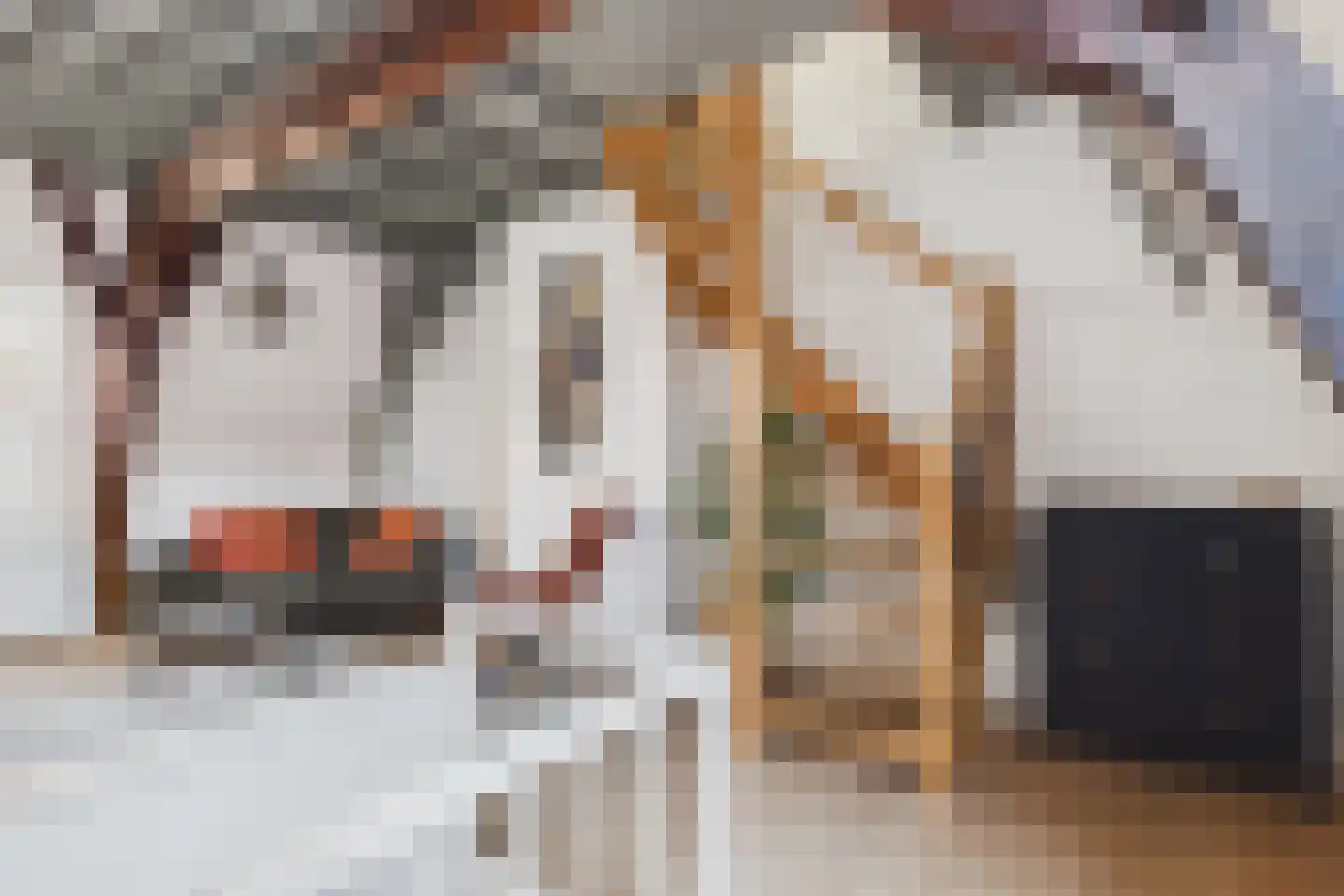 Reigerstraat 4 B Middelburg thumbnail 28