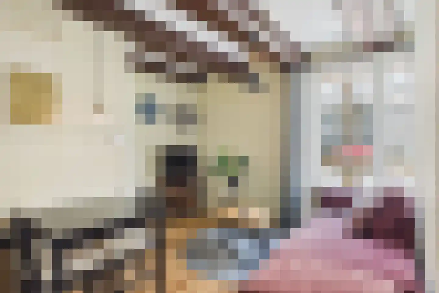 Reigerstraat 4 Middelburg thumbnail 7