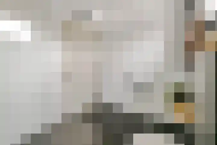 Reigerstraat 40 Beneden-Leeuwen thumbnail 22