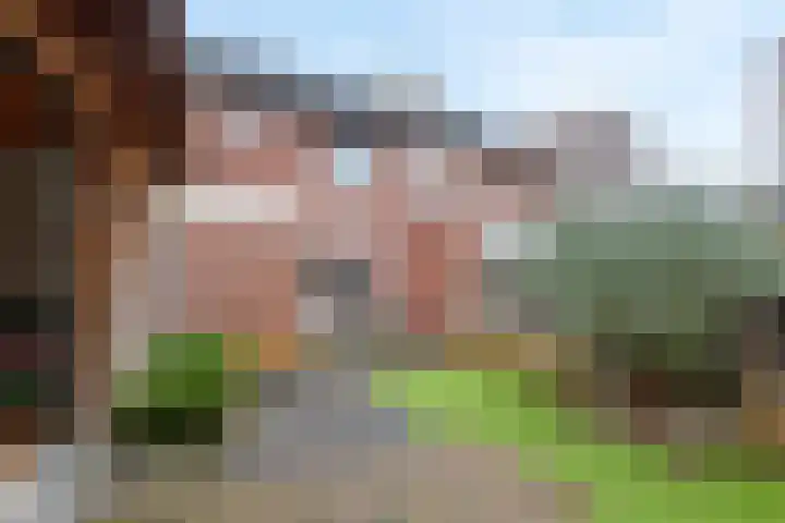 Reigerstraat 40 Beneden-Leeuwen thumbnail 31