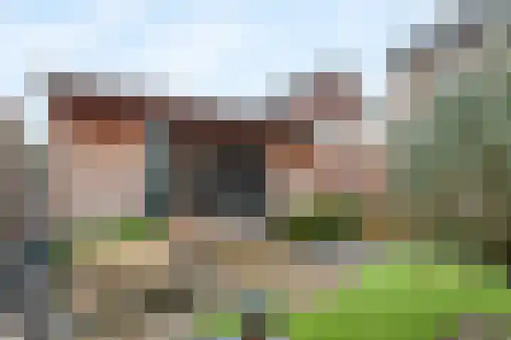 Reigerstraat 40 Beneden-Leeuwen thumbnail 33