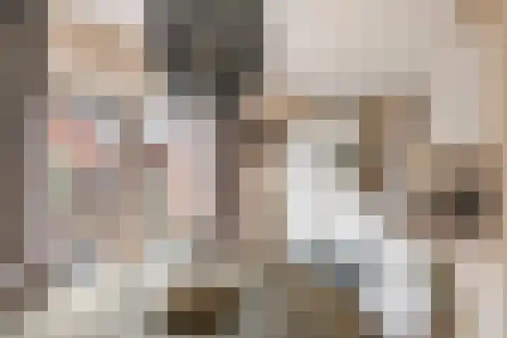 Reigerstraat 40 Beneden-Leeuwen thumbnail 5