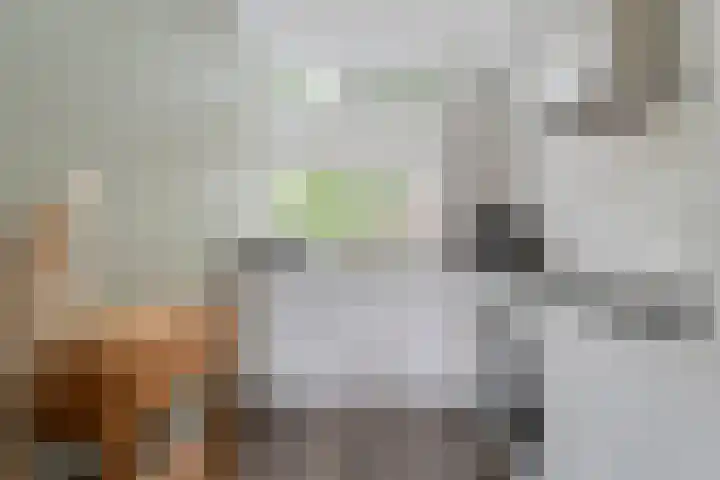 Reigerstraat 41 Hardenberg thumbnail 16