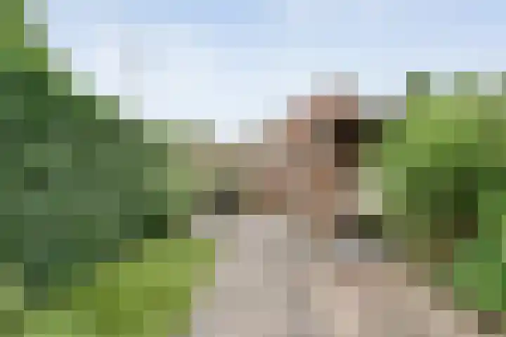 Reigerstraat 41 Hardenberg thumbnail 25