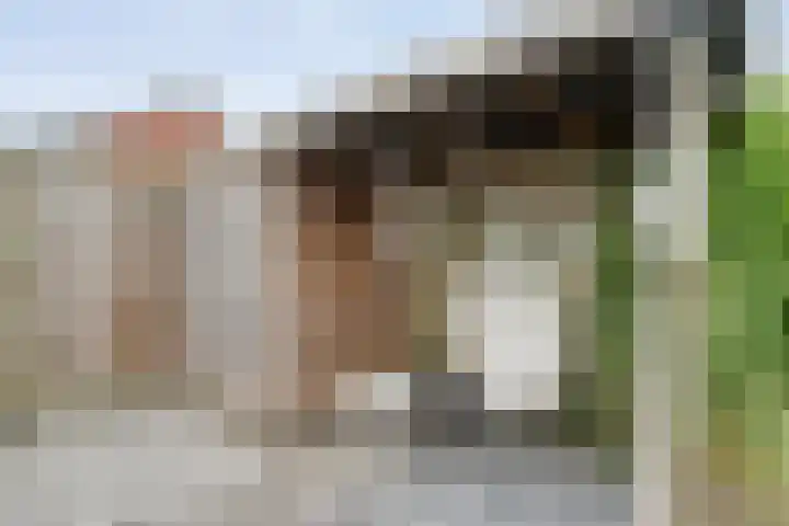 Reigerstraat 41 Hardenberg thumbnail 26