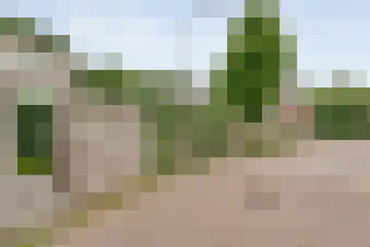Reigerstraat 41 Hardenberg thumbnail 27