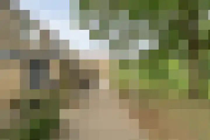 Reigerstraat 41 Hardenberg thumbnail 28