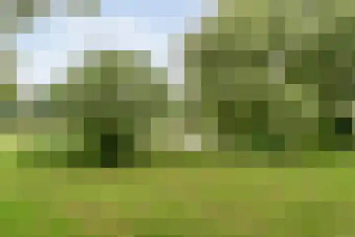 Reigerstraat 41 Hardenberg thumbnail 31