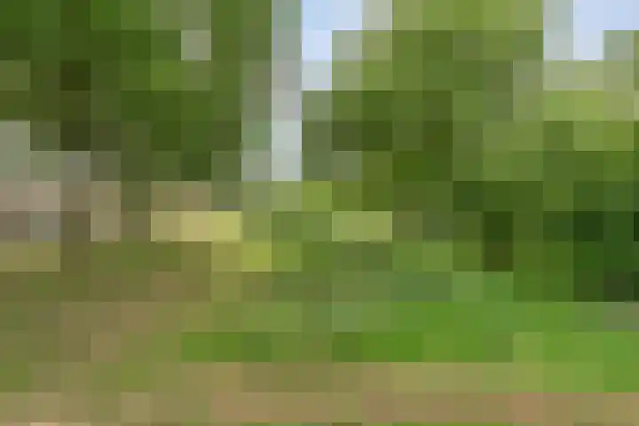 Reigerstraat 41 Hardenberg thumbnail 5