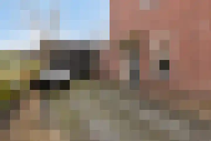 Reigerstraat 42 Tilburg thumbnail 10
