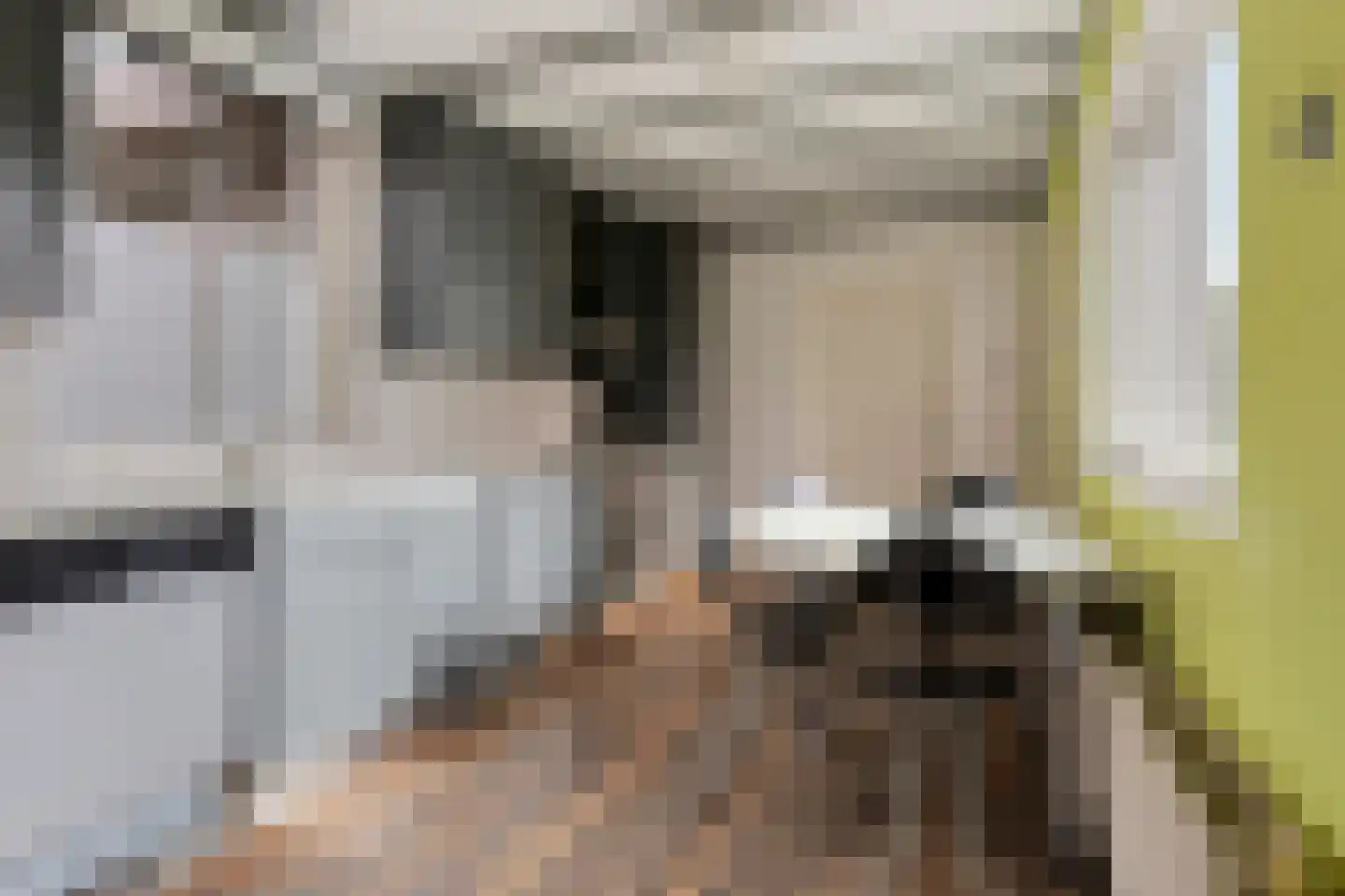 Reigerstraat 42 Tilburg thumbnail 21